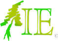 Insignia Enterprises Logo